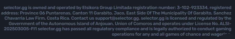 Зеркало Selector KG